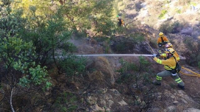 Efectivos del Plan Infomur apagan el conato de incendio forestal declarado en el Monte Ope, Archena